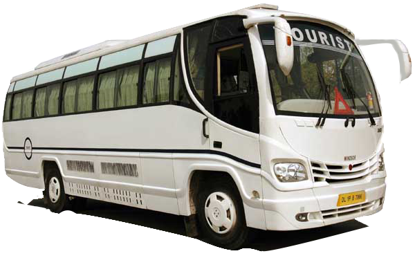 regular-bus